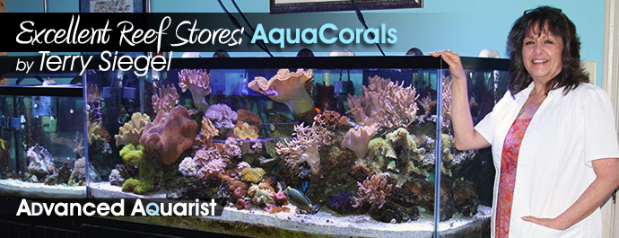 coral reef stores near me