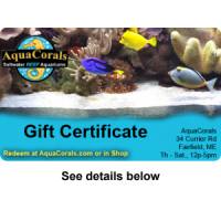 gift-certificate-product-300px